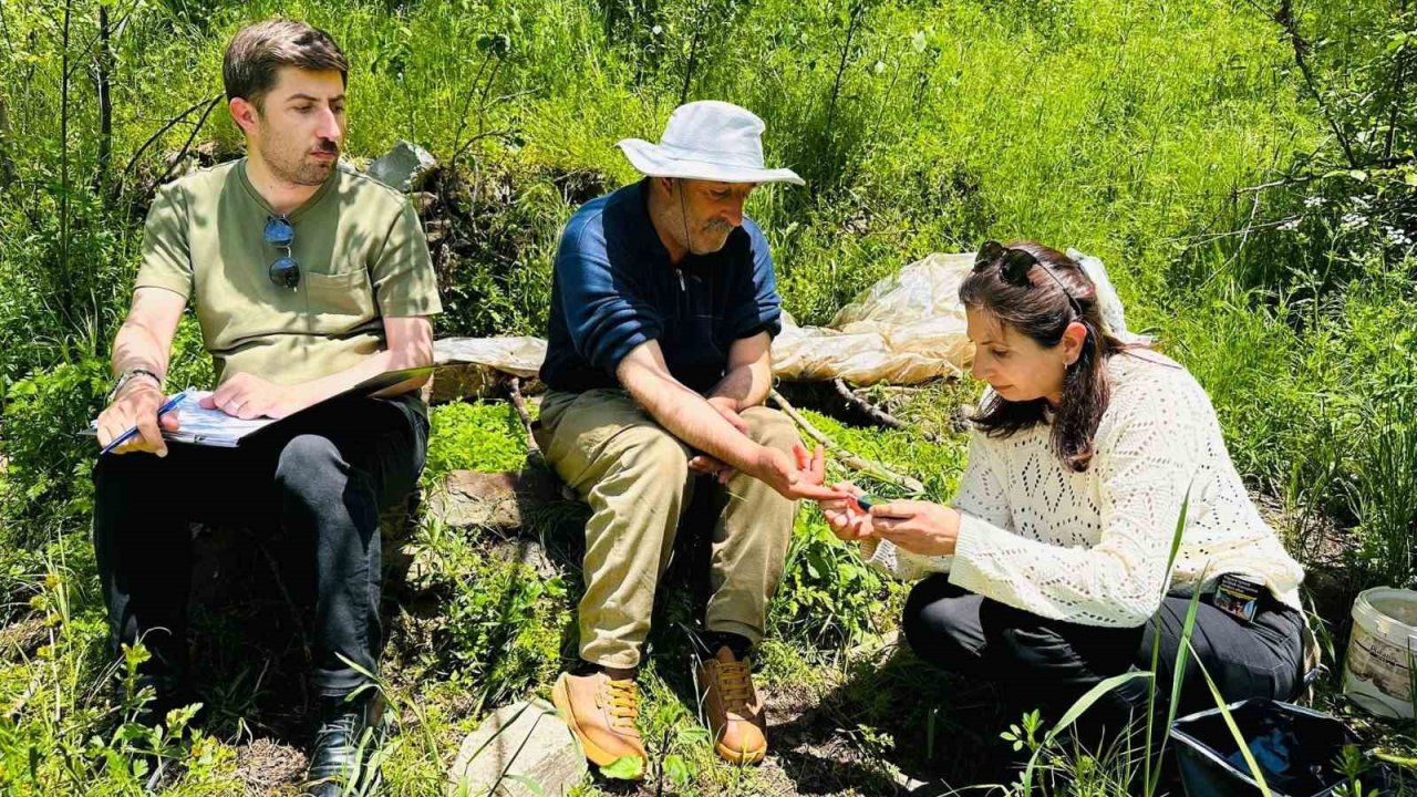 Yüksekova’da Sağlık Taraması İçin Köy Köy Geziyorlar