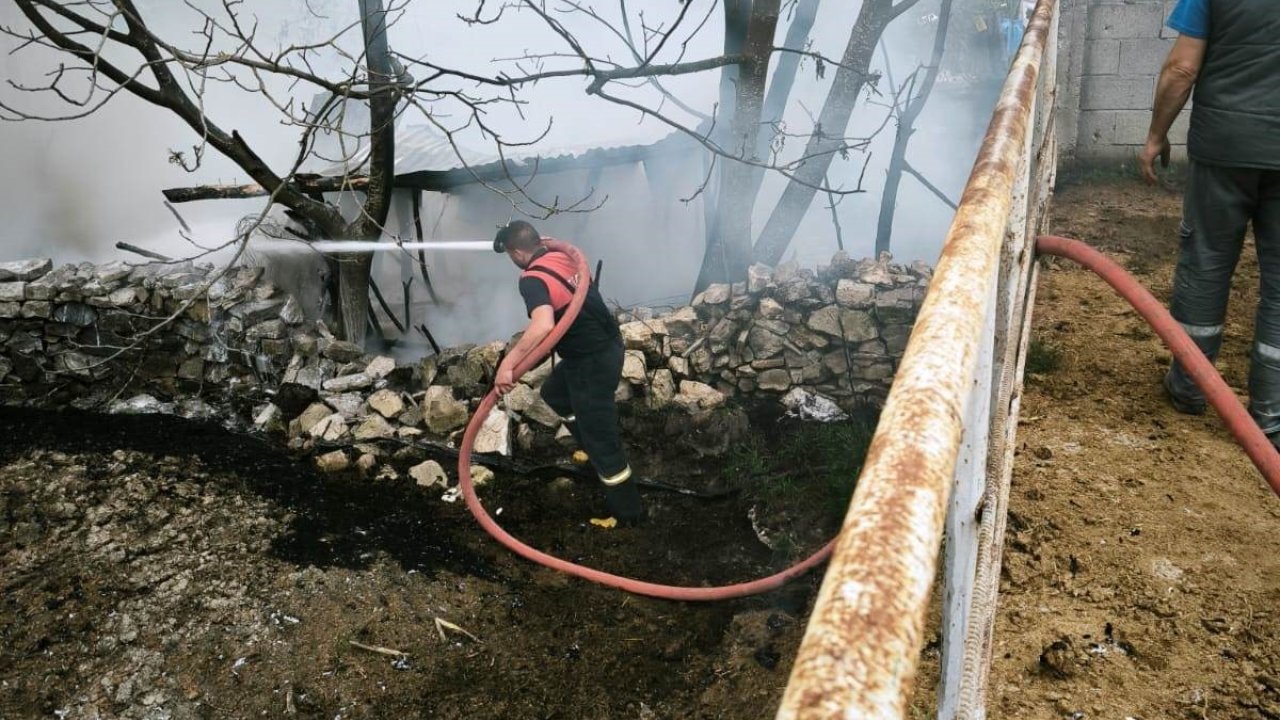 Domaniç’te Çıkan Yangında 100 Tavuk Telef Oldu