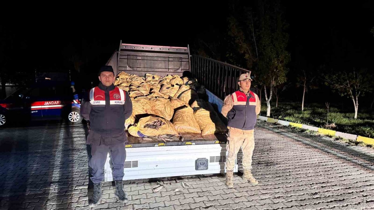 Van’da 3 Ton 820 Kilo Kaçak Avlanmış Balık Ele Geçirildi
