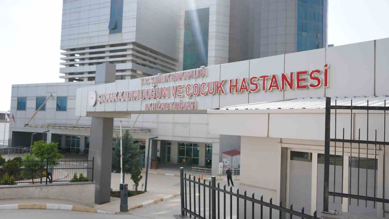 Şırnak’ın Ebeleri Anneliği Anlattı