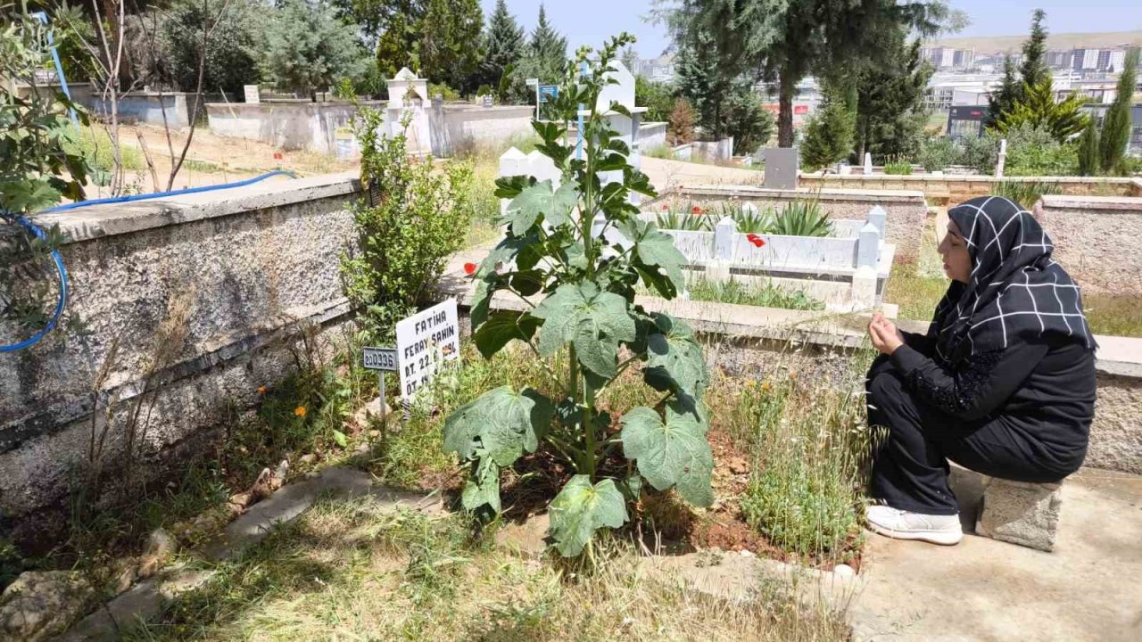 Feray Şahin, Anneler Günü’nde Mezarı Başında Anıldı