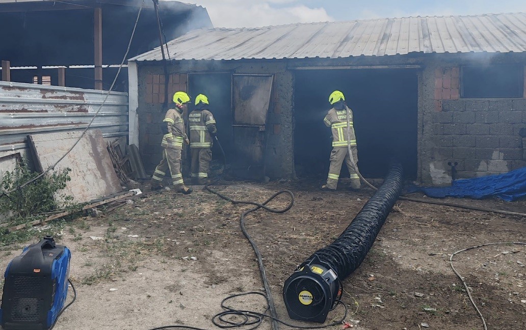 Balıkesir’de Ahırda Çıkan Yangında 42 Küçükbaş Hayvan Telef Oldu