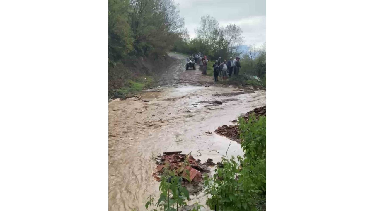 Tokat’ta Sele Kapılan 25 Küçükbaş Hayvan Telef Oldu