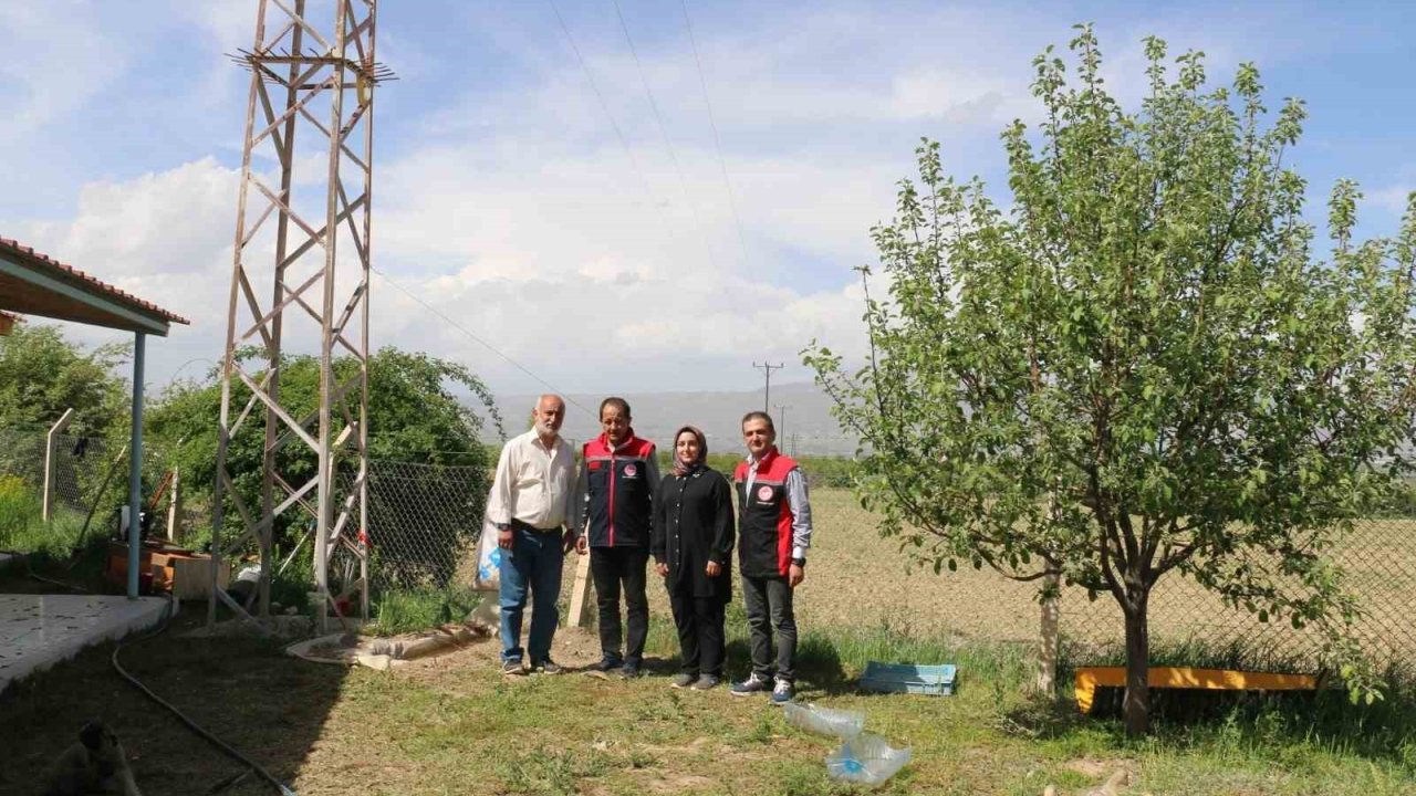 40 Binin Üzerinde Ağaç Diken Erzincanlı Profesör, Kazlarla Biyolojik Mücadele Uyguluyor