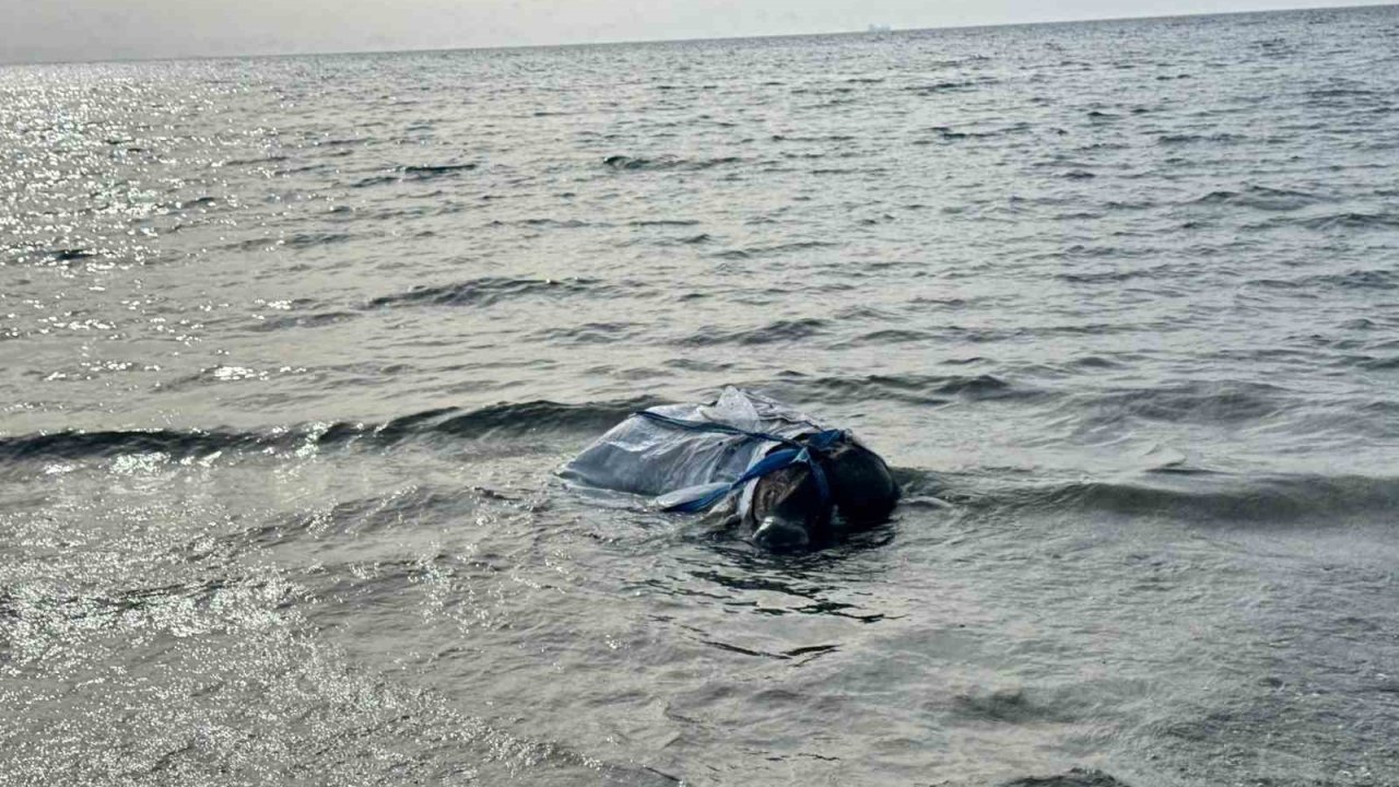 Denizden Balık Yerine Angus Çıktı