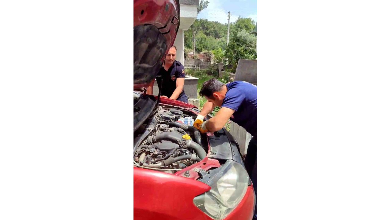 Araç Motorundan Çıkan Sürpriz Yüzleri Gülümsetti