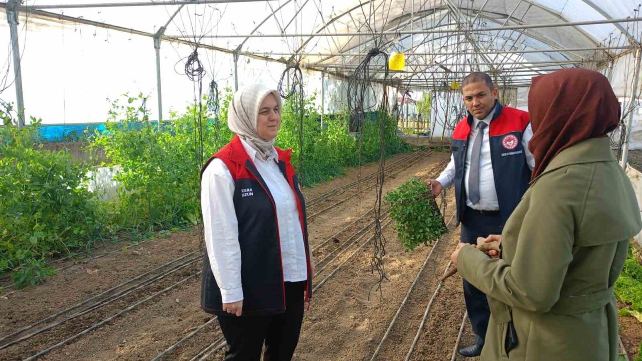 Kadın Çiftçiye Destek