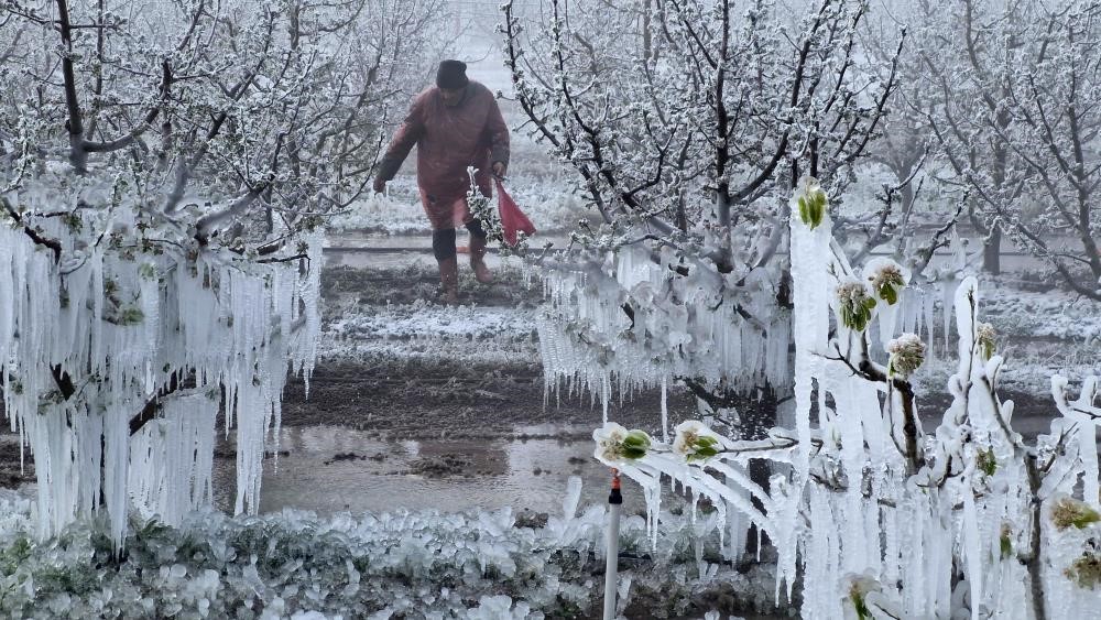 Zirai Don Meclis Araştırma Komisyonu 14 Mayıs’ta Toplanıyor