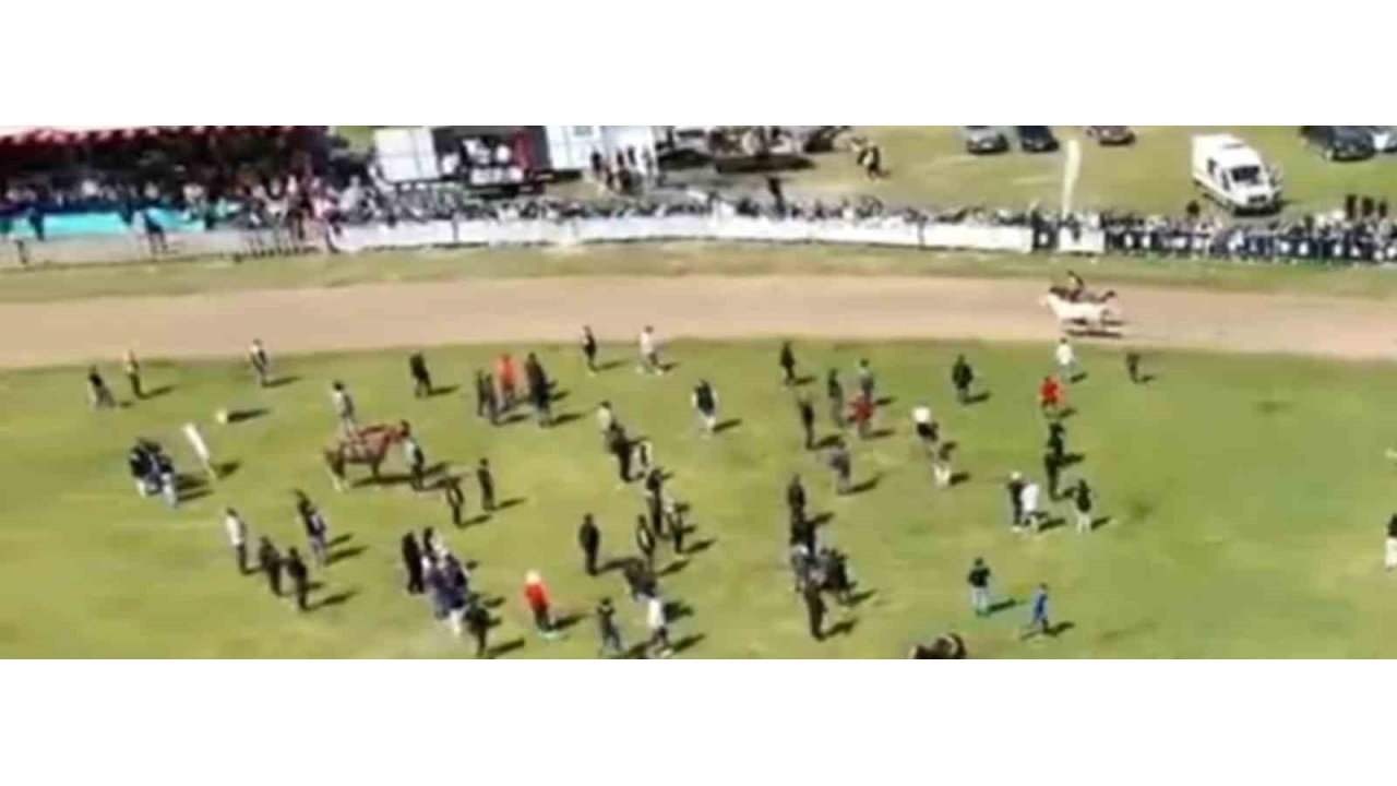 Jokeyi Üzerinden Attı, Yarışa Devam Etti