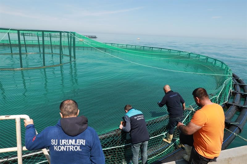 Trabzon’da Denizdeki Balık Kafeslerine Denetim