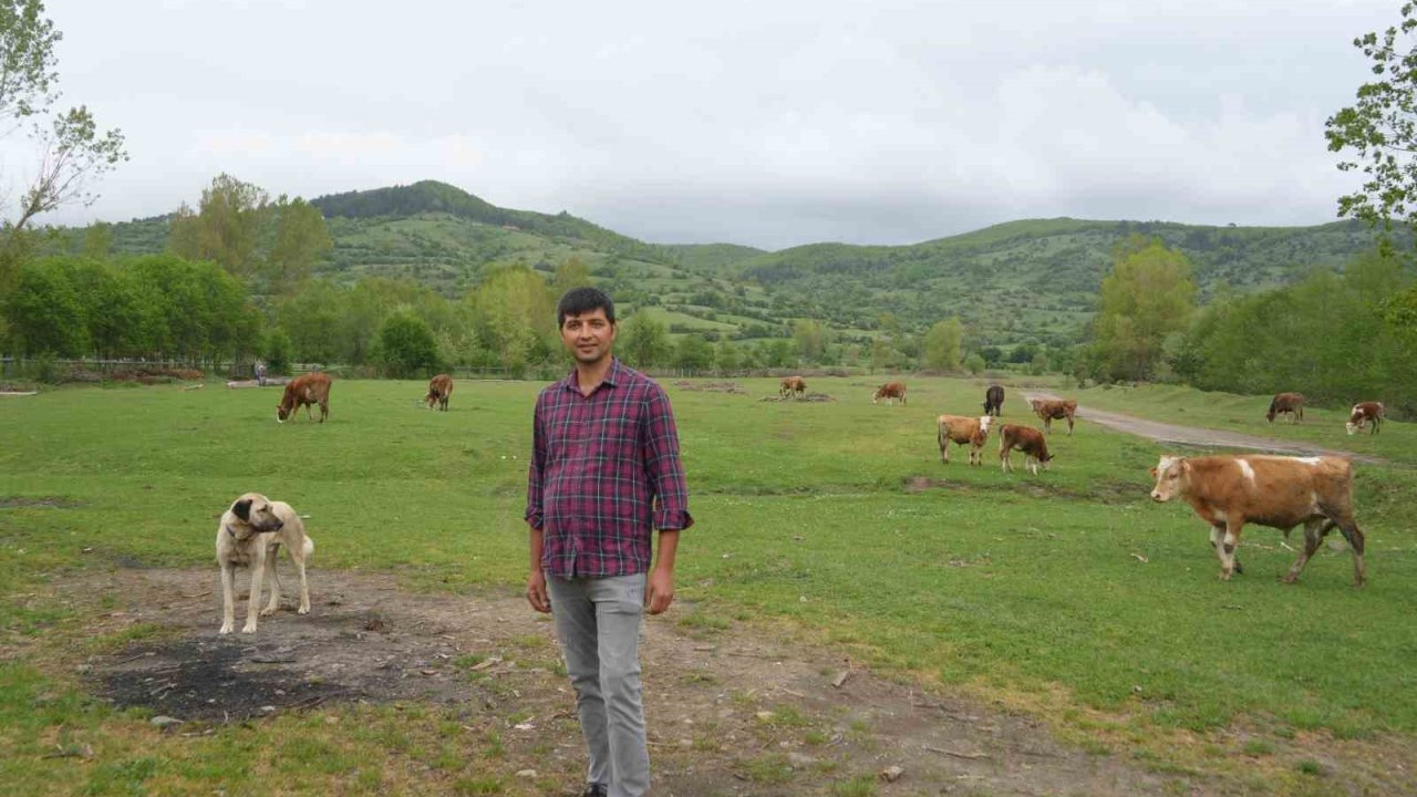 Şehir Hayatından Bıktı, Döndüğü Köyünde Hayvancılığa Başladı