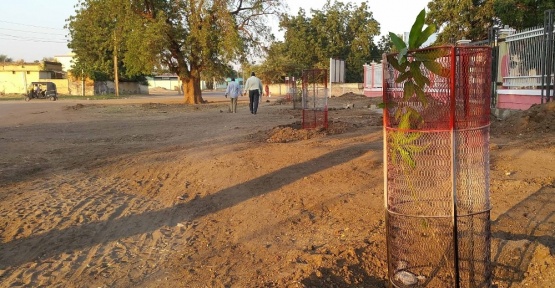 Sudan’da mango meyvesi tanıtım ve yetiştiriciliğine destek