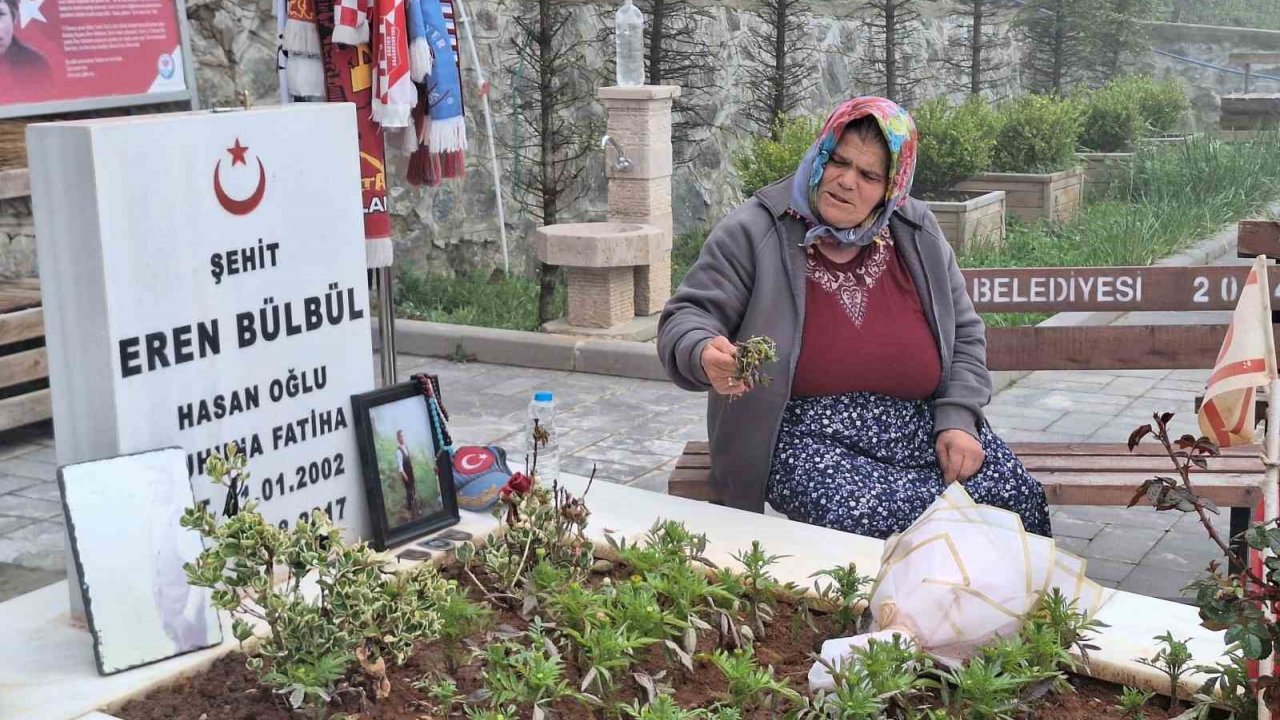 Eren Bülbül’ün Annesi Ayşe Bülbül, Pkk’nın Silah Bırakmasını Değerlendirdi: