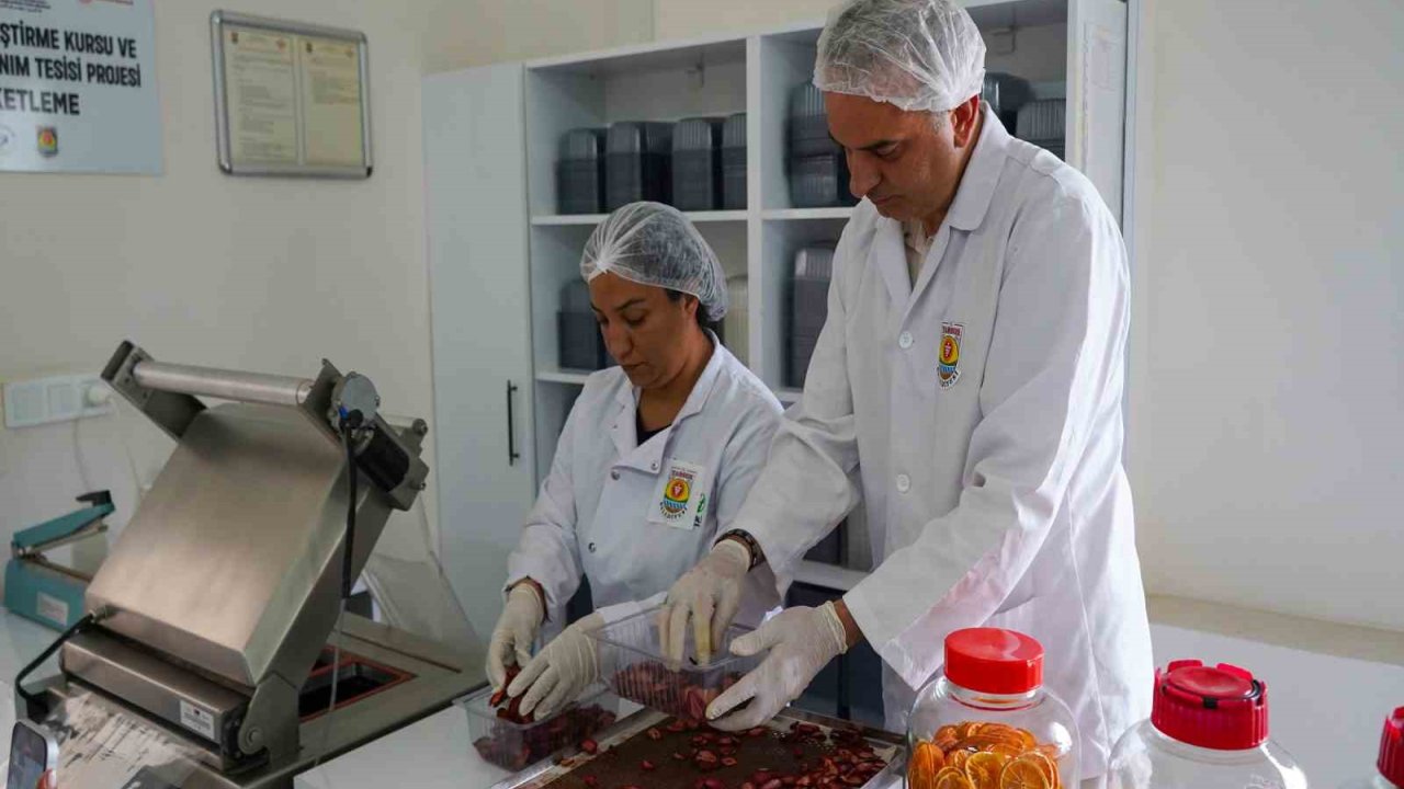 Tarsus’ta Meyve Ve Sebze Paketleme Tesisi Hizmete Girdi