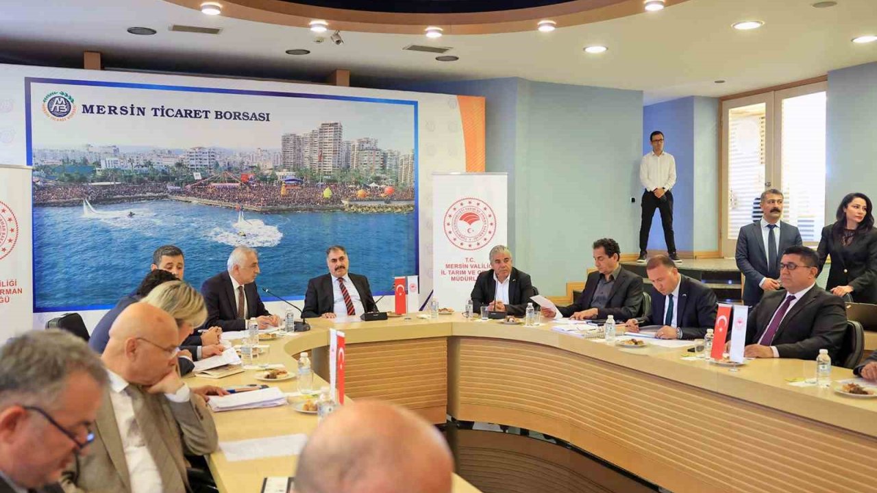 Mersin, ’kuraklık Yönetim Planı’nı Hazırlıyor