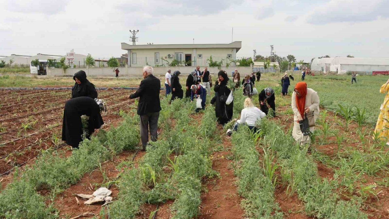 Şanlıurfa’da Emekli Kadınlara