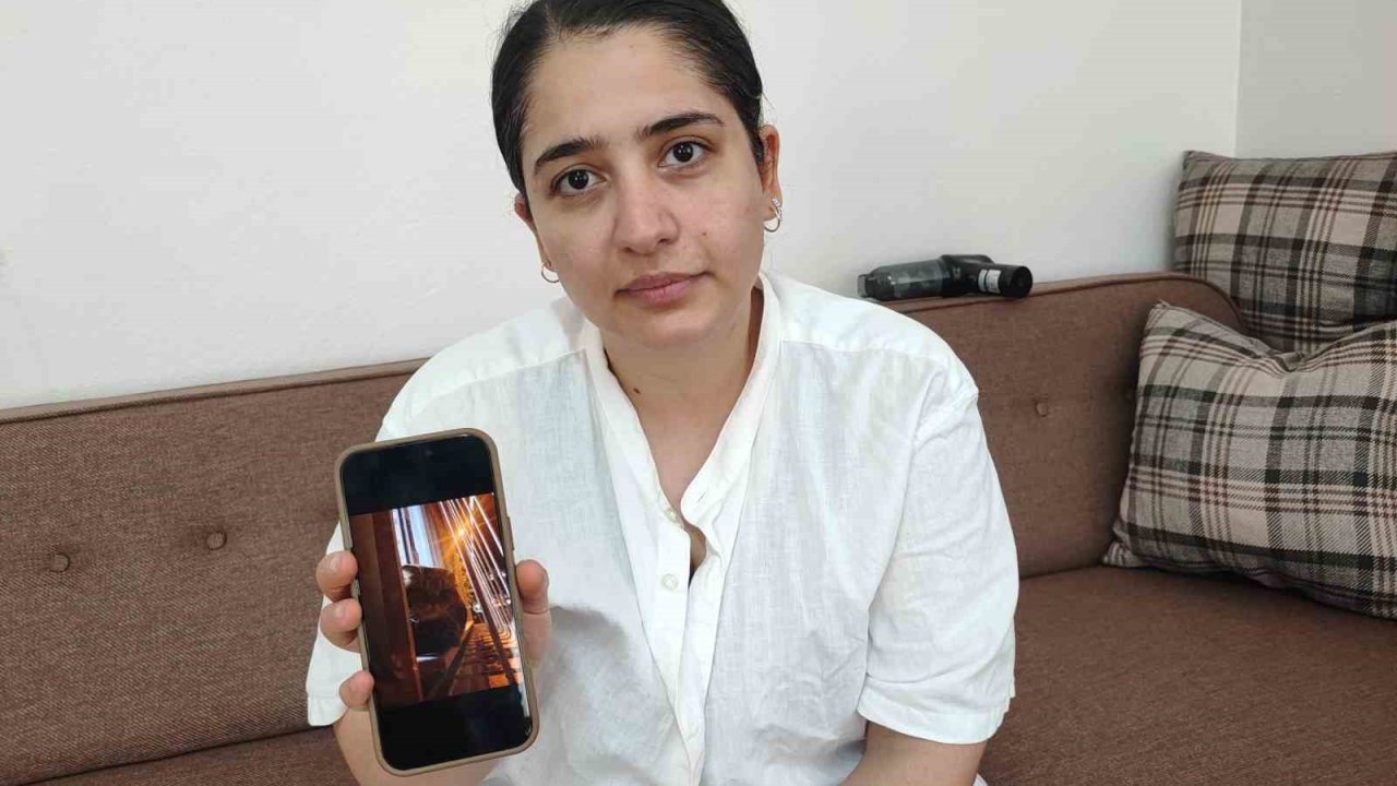 Kayıp Kedi Bulunmazsa Kocası Boşayacak