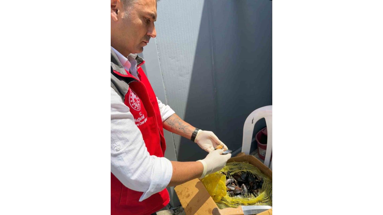 100 Kilogram Sağlıksız Midyeye El Konuldu