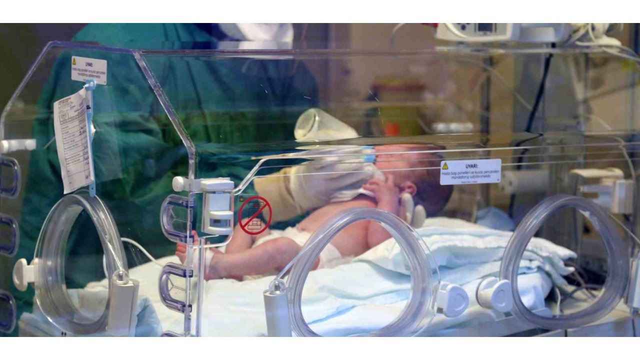 Erzincan’da Canlı Doğan Bebek Sayısı 2024 Yılında 2 Bin 368 Oldu