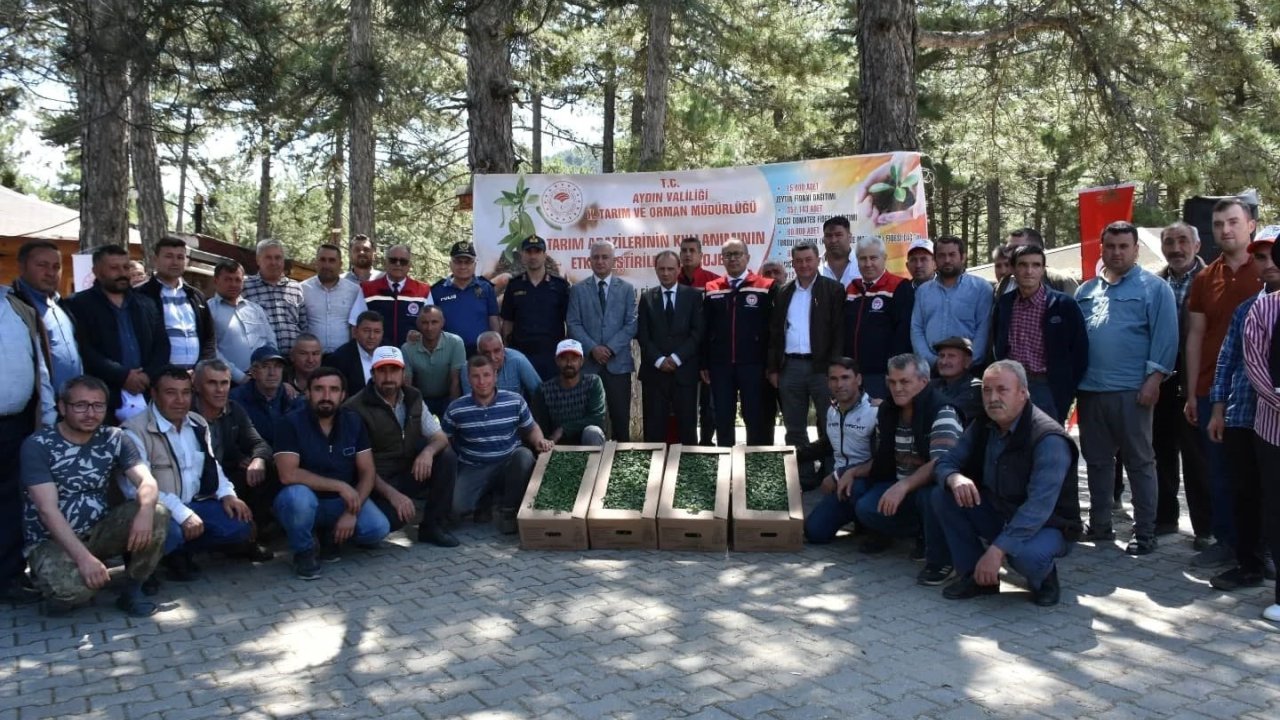 Kuyucak’ta 220 Bin Domates Fidesi Dağıtıldı