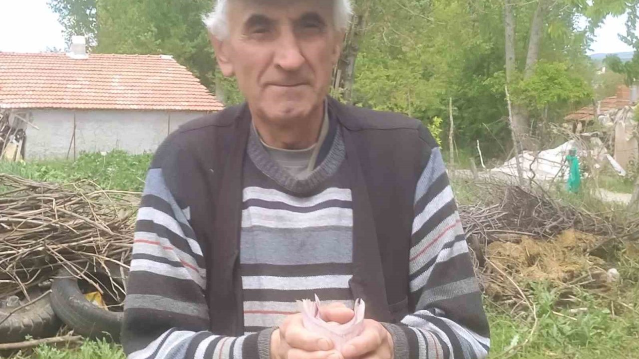 Hisarcık’ta Emekli İşçiden