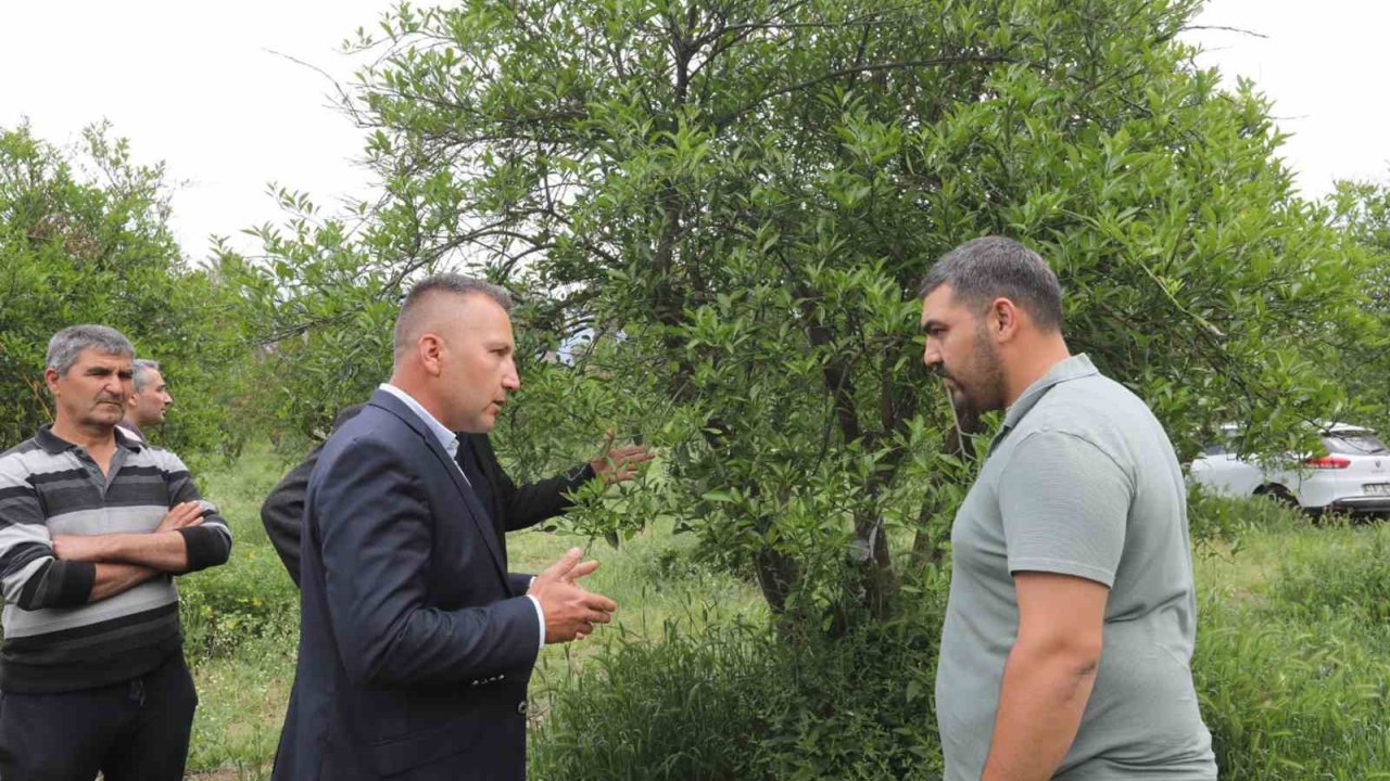 Zirai Donun Yaraları Büyükşehir’in Desteğiyle Sarıldı