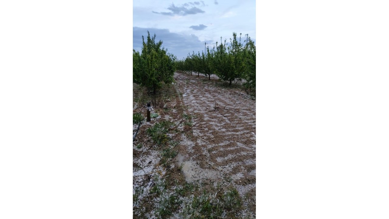 Kurak İlçeye Düşen Yağmur Çiftçiye Umut Oldu