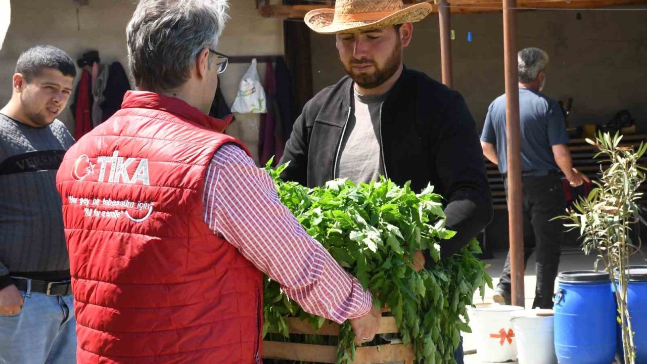 Azerbaycan’da Sel Mağduru Çiftçilerin Yüzü Tika İle Güldü