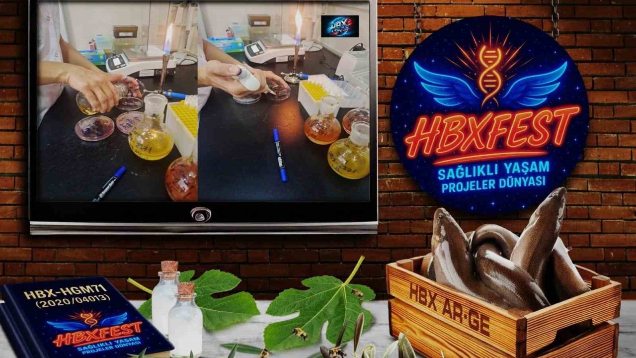 Karya Farma Hbx Rekor Tazeledi