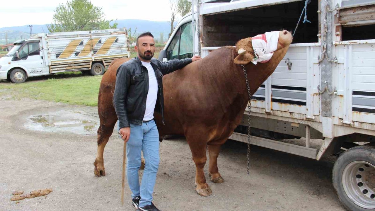1 Ton 150 Kilogram Ağırlığındaki