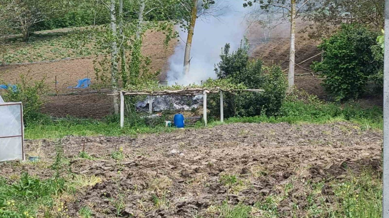 Sinop’ta Tarlada Yangın Paniği