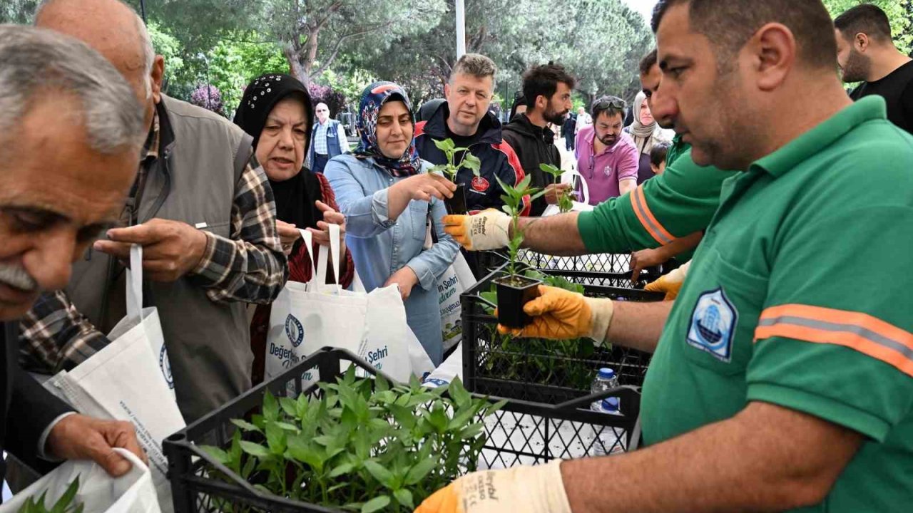 Yıldırım Belediyesi’nden 50 Bin Fide