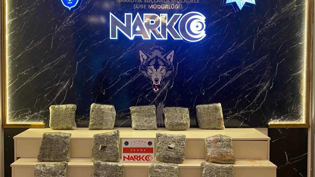 Edirne’de Uyuşturucu Operasyonu: Tırda 13 Kilo Skunk Ele Geçirildi