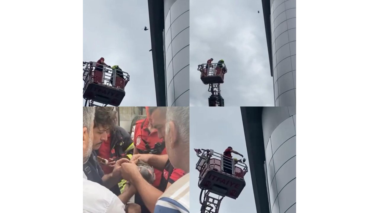 Mersin’de Çatıda Mahsur Kalan Güvercini İtfaiye Kurtardı