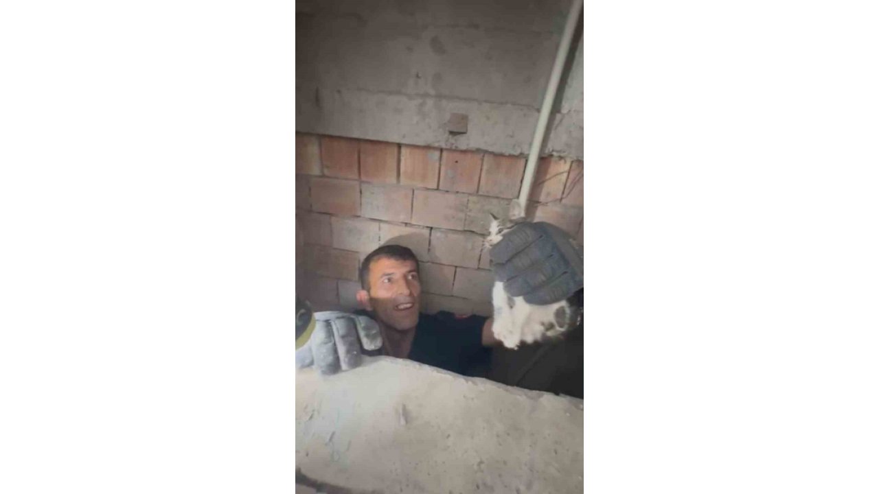 Bina Boşluğuna Düşen Yavru Kedi İtfaiye Ekiplerince Kurtarıldı