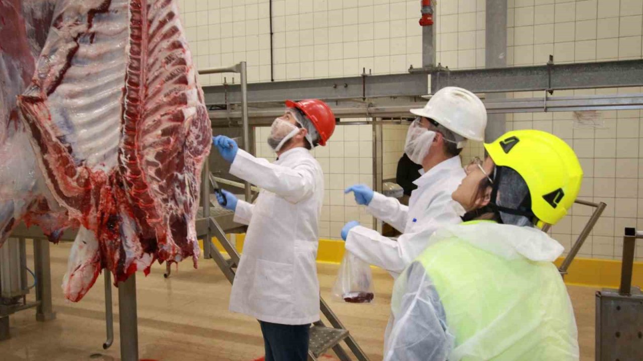 Kurban Kesim Başvuruları 15 Mayıs’ta Başlıyor