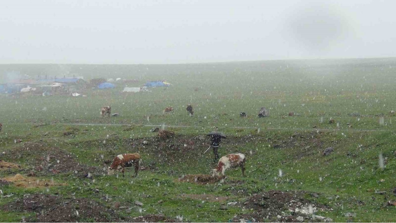 Kars’ta Mayıs Karı Şaşırttı