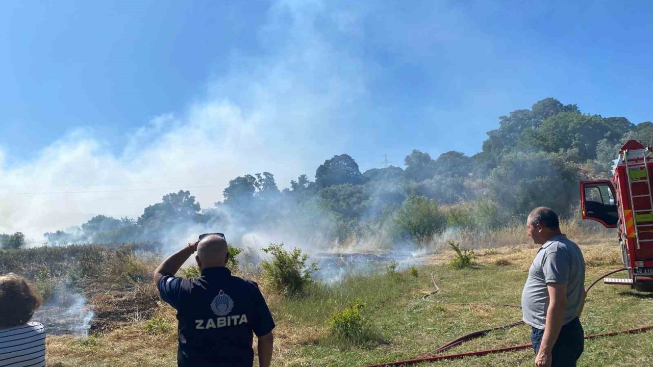 Bodrum’da Zirai Alan Yangını