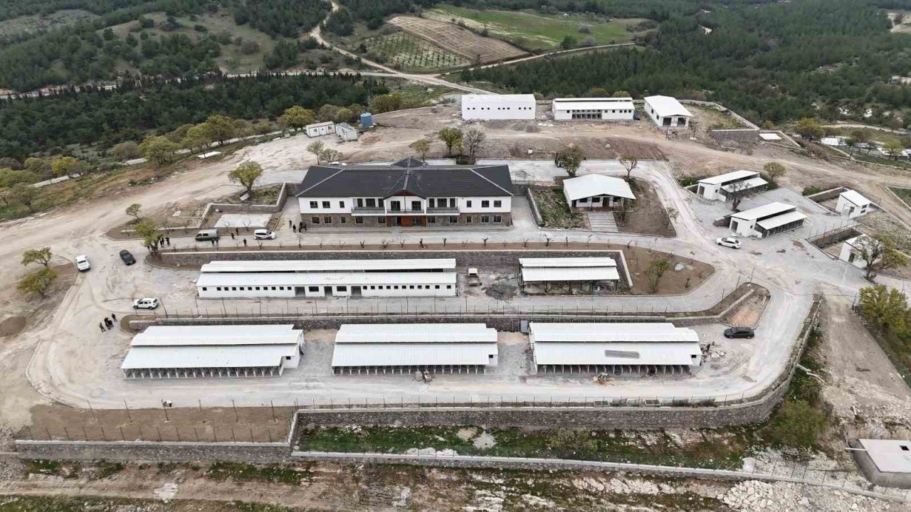 Hayvan Yaşam Merkezi Açılıyor