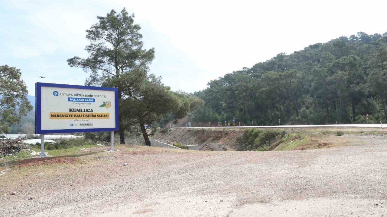 Antalya’da Narenciye Balı İçin Coğrafi İşaret Tescil Çalışması