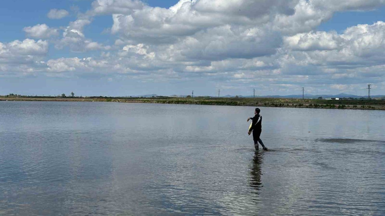 Çiftçiler Günü’nü, Çeltik Tohumlarını Toprakla Buluşturarak Kutladılar