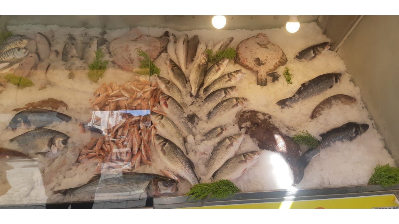 İzmir’de Su Ürünleri Denetimlerinde Ceza Yağdı