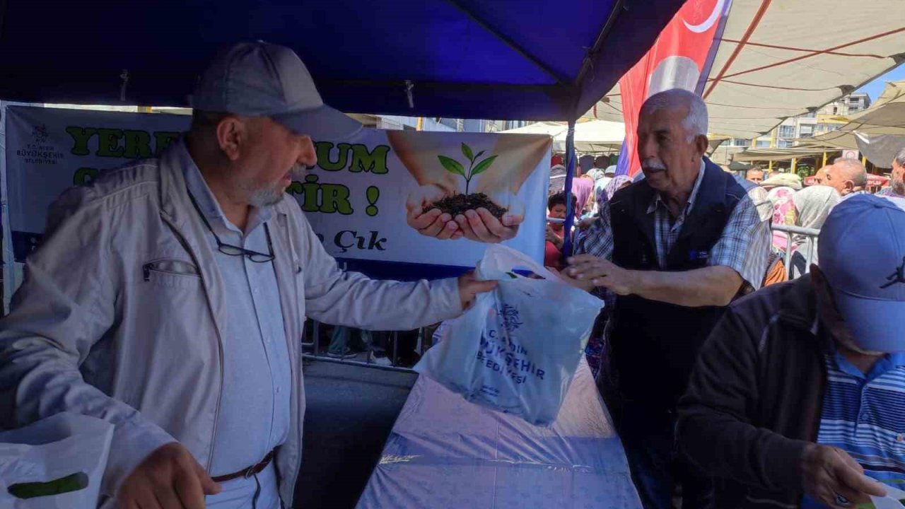 Söke’de 40 Bin Ata Tohumu Fidesi Dağıtıldı