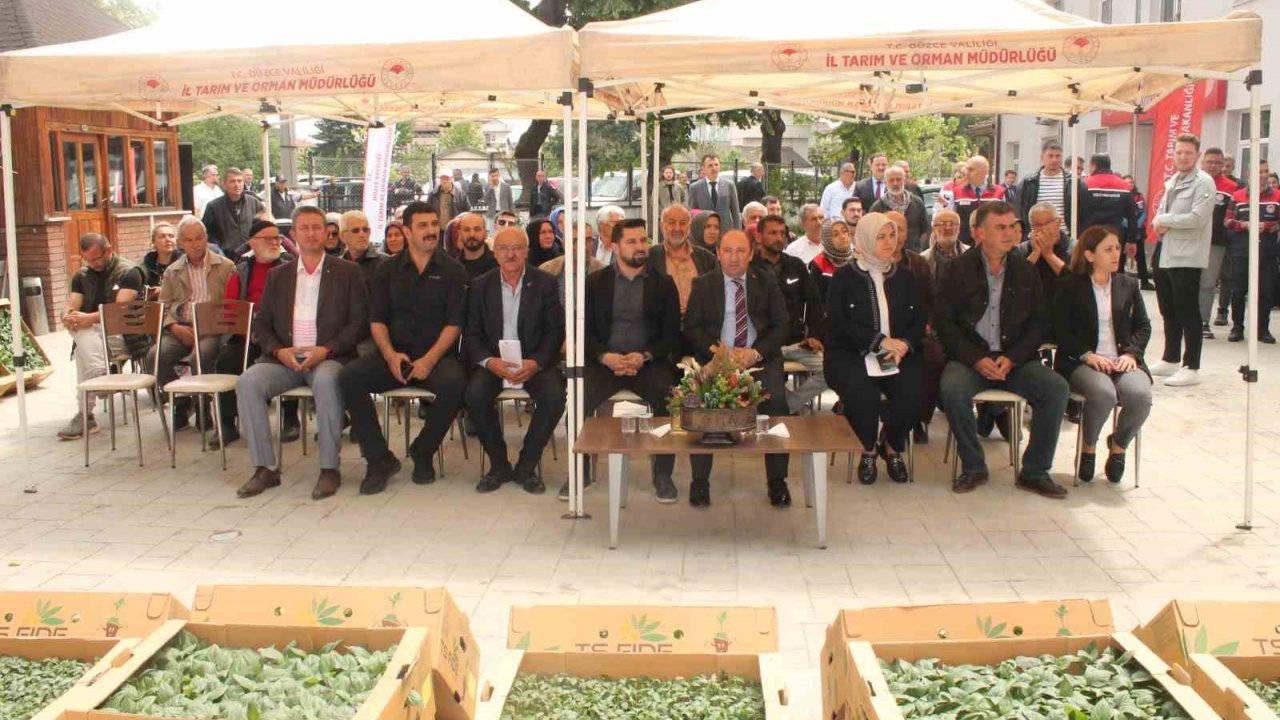 Atıl Tarım Arazilerinde Sebze Yetişecek