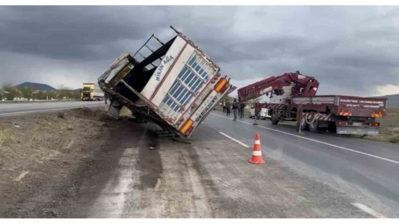 Tır Devrildi, Anguslar Kayboldu