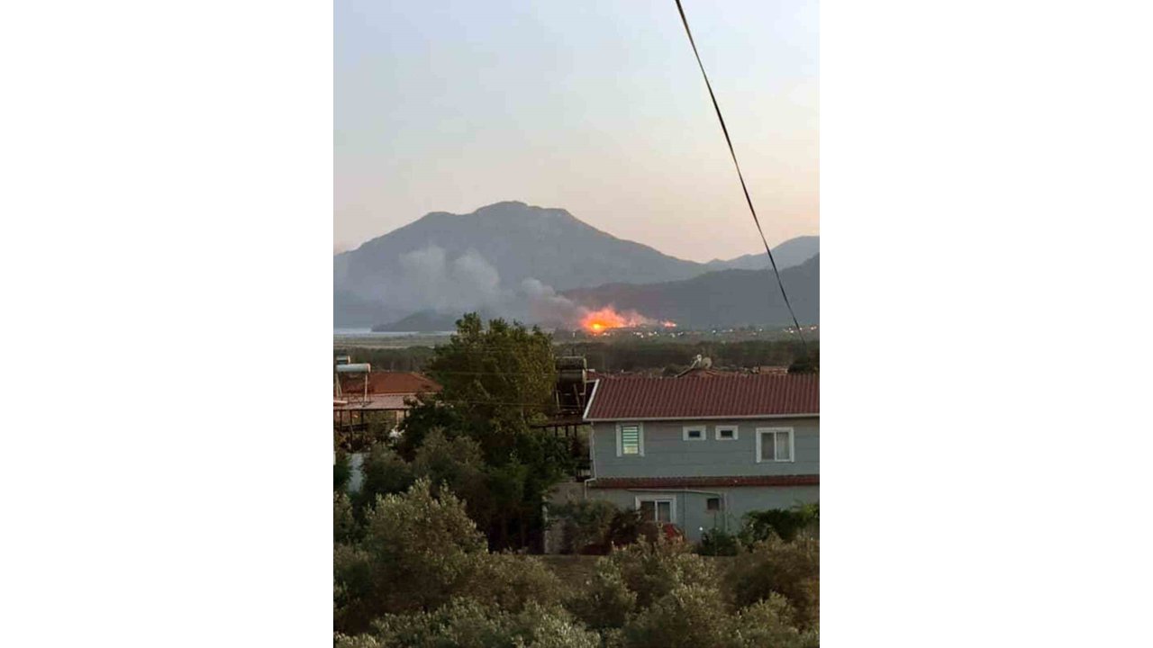 Köyceğiz’de Sazlık Alanda Yangın Çıktı