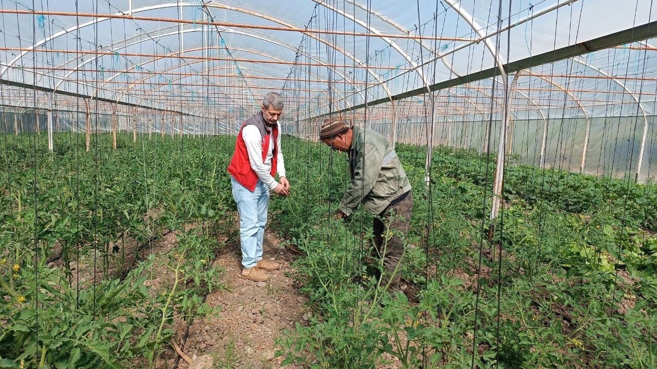 Yemişendere’de Örtü Altı Sebze Üreticilerine Teknik Destek