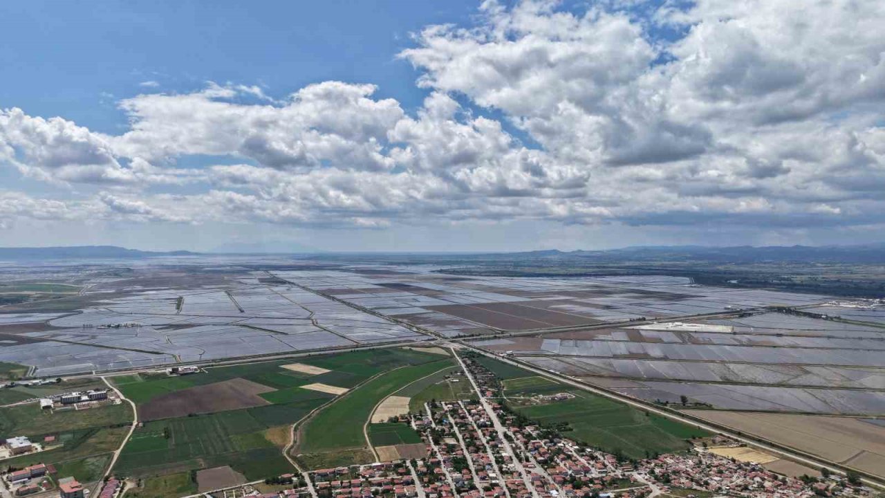 Pirinç Ekilen Alanlar Havadan Böyle Görüntülendi: Venedik Değil İpsala Ovası