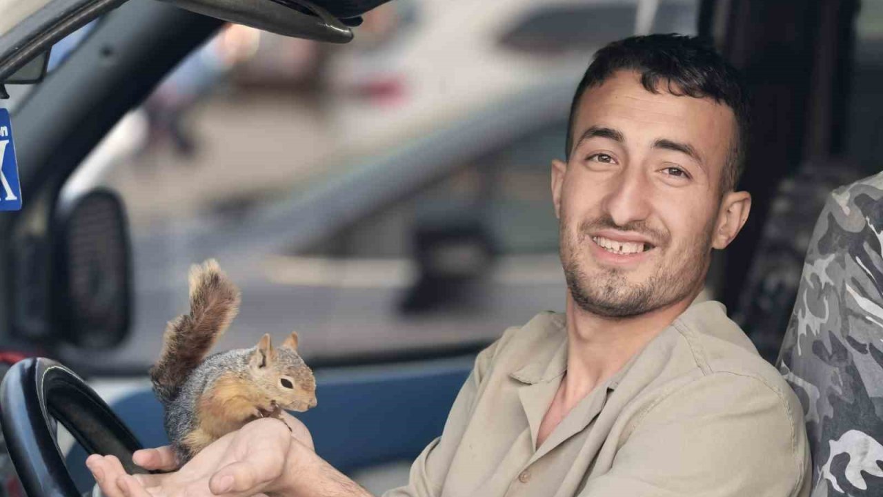 Eliyle Beslediği Sincap, Peşini Bırakmadı