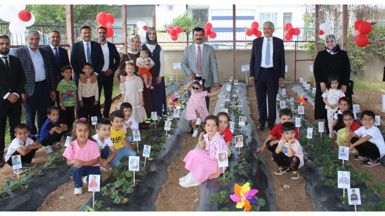 Kahta’da Miniklerden Çilek Hasadı